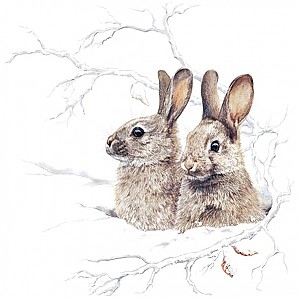 Servetter Winter Morning