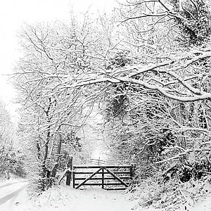 Servetter Winter Landscape