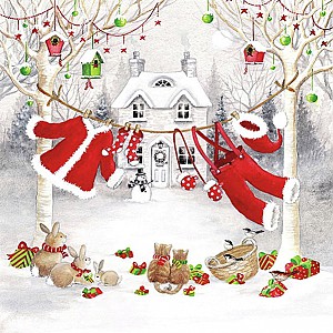 Servetter Clothes Line