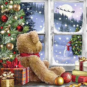 Servetter Teddy Looking At Santa