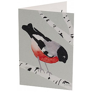 Mini Card Bullfinch - Blick nach unten