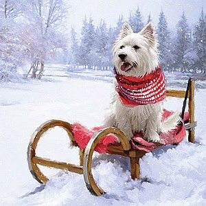 Servetter Westie Outdoor
