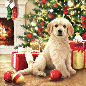 Servetter Waiting For Presents