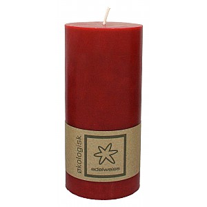 Ekologiskt Blockljus