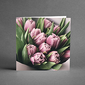 Kort Lilarosa tulpaner