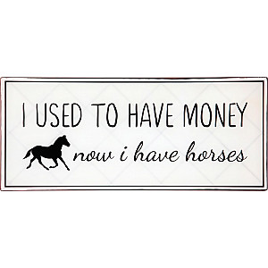 Plåtskylt Now I have horses