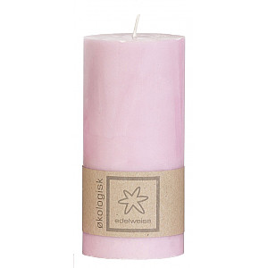 Ekologiskt Blockljus