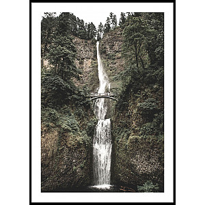 Poster Forest Waterfall