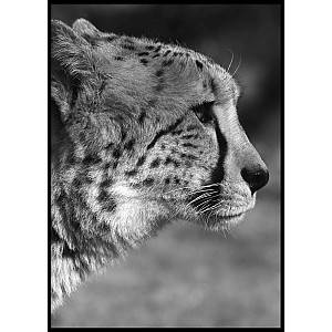 Poster Geopard profile