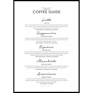 Poster Coffee Guide