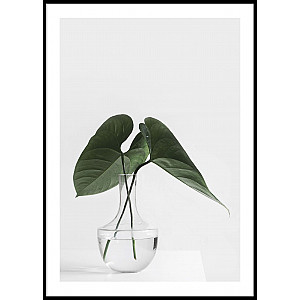 Poster Green leaves in vase