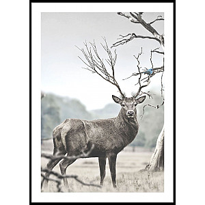 Poster Deer Portrait
