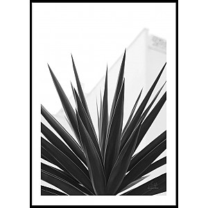 Poster Plant Texture Spain