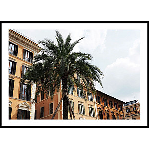 Poster Palm Italy