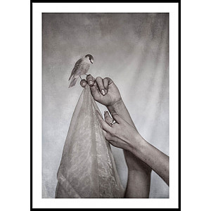 Poster Little Bird and hands