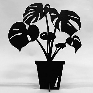 Monstera Deliciosa Svart - Stor