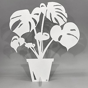 Monstera Deliciosa Vit - Stor