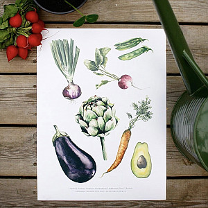 Poster Grönsaker - 21 x 30 cm