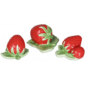 Erdbeeren Fragaria 3er-Set