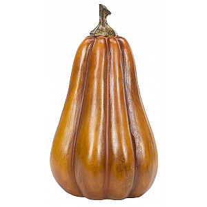 Pumpa Orange Avlång 