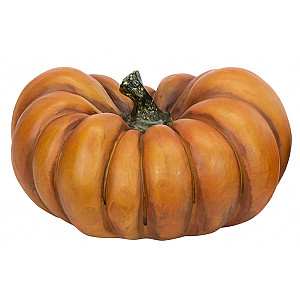 Pumpa Orange Stor - Sort 1