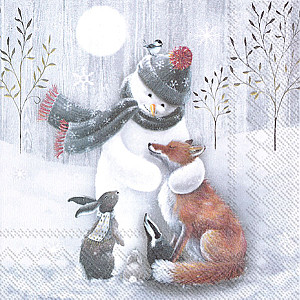 Servetter Frosty Hug