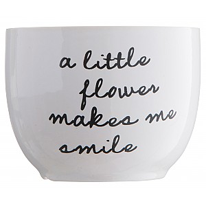 Blumentopf Eine kleine Blume bringt mich zum Lächeln