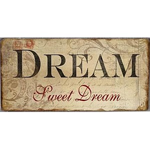 Magnet Dream sweet dream