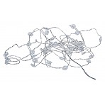 Image nr 2
