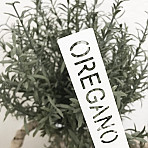 Image nr 1