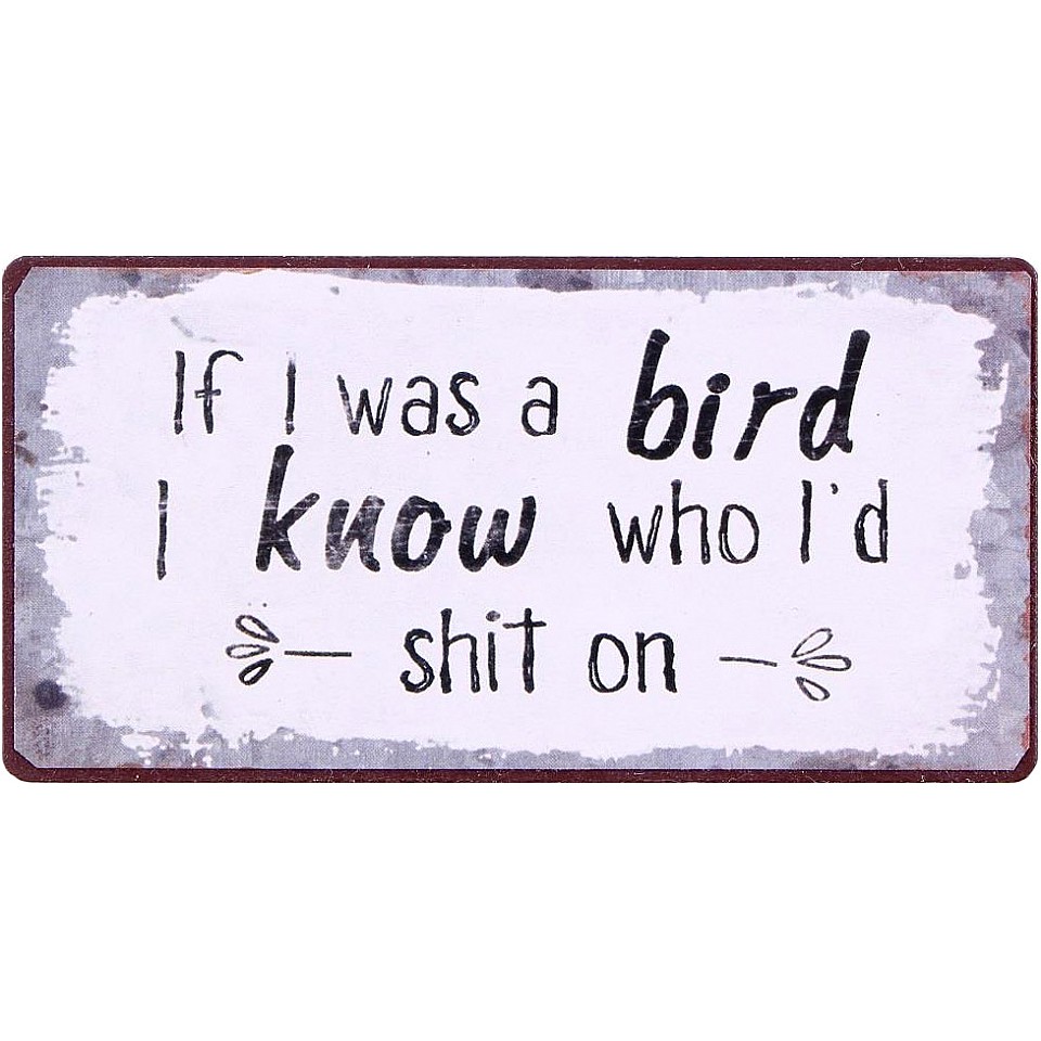 Magnet If I was a bird I know who I'd shit on