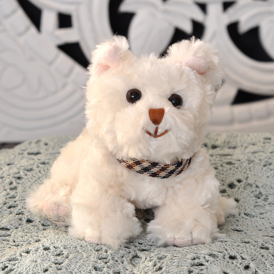 Hund Baby Namu