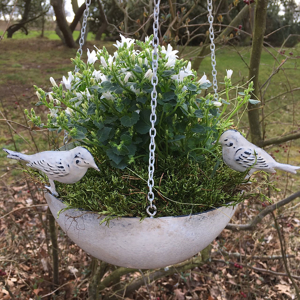 Hängende Blumenschale / Ampel Birds Shabby Chic - Offwhite