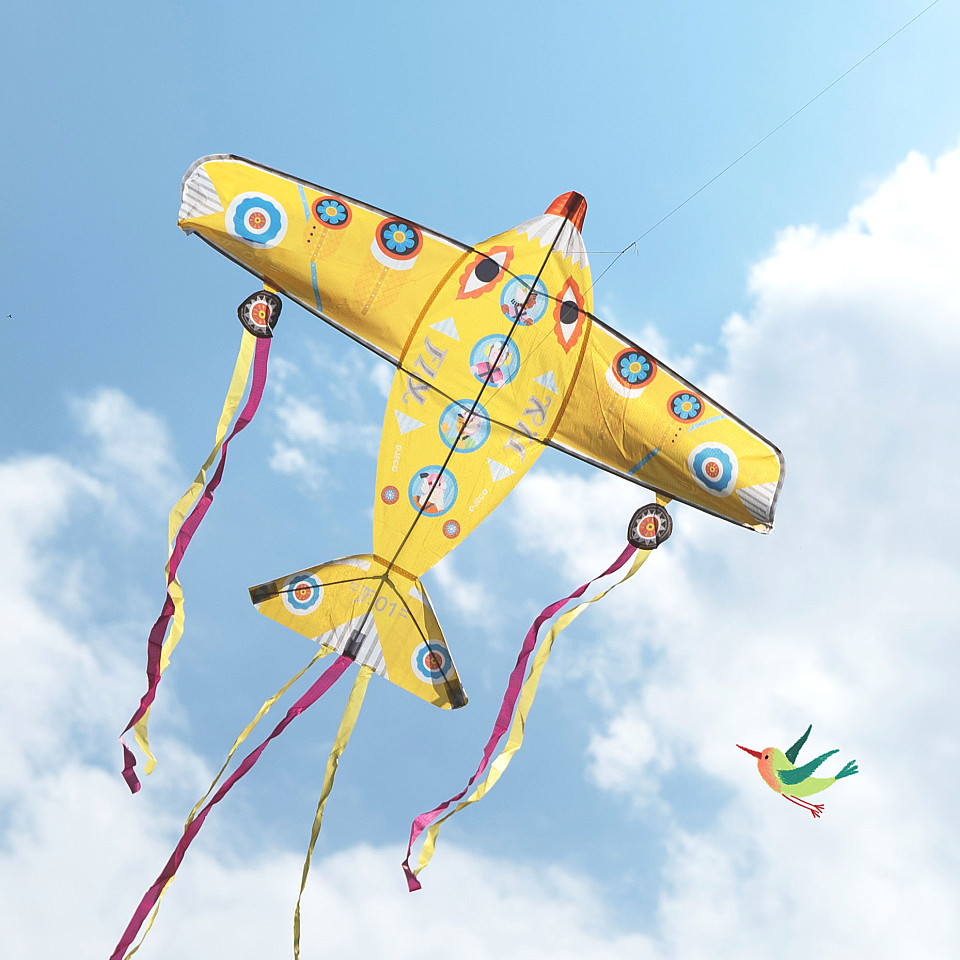 Kite Maxi Plane