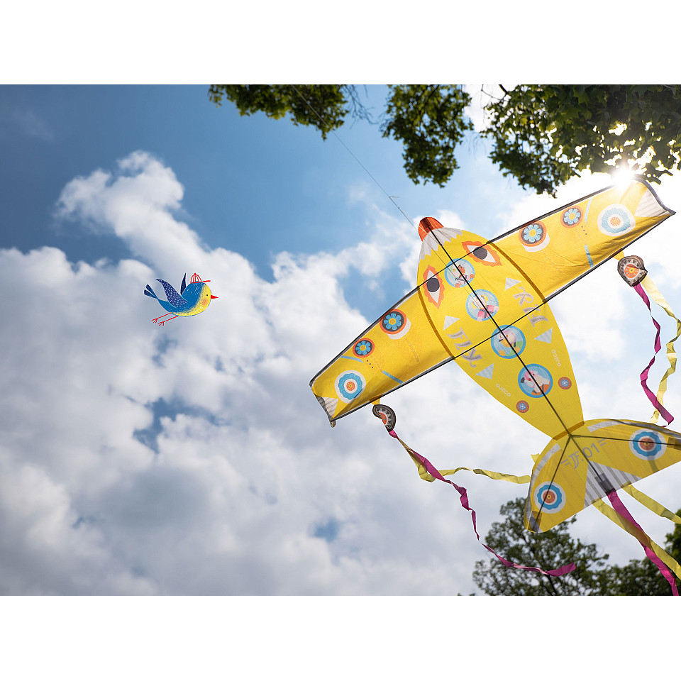 Kite Maxi Plane