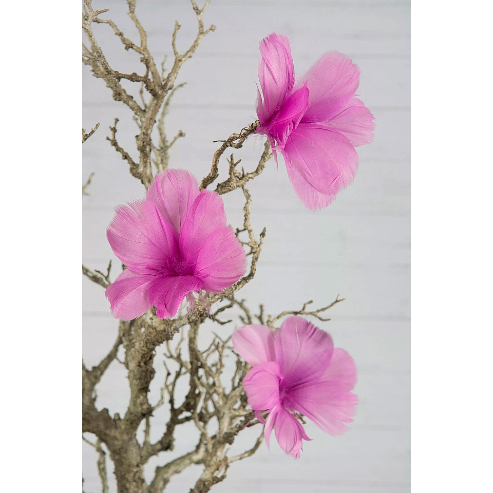 Easter Feathers / Feathers Flower Cerise - 12 pcs
