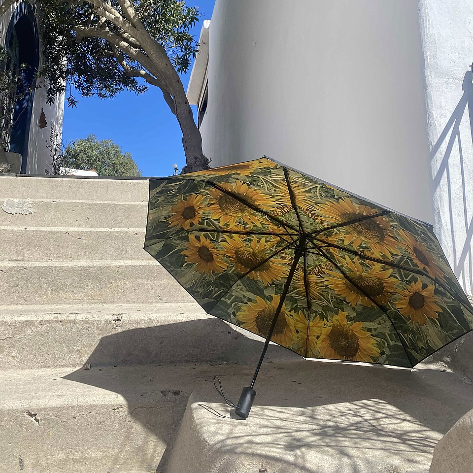 Umbrella Sunflower