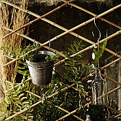 Trellises & Plant Supports