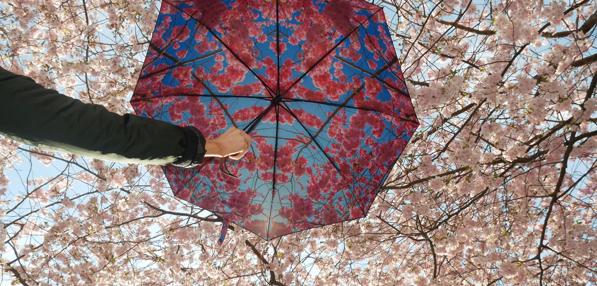 HappySweeds HappySweeds